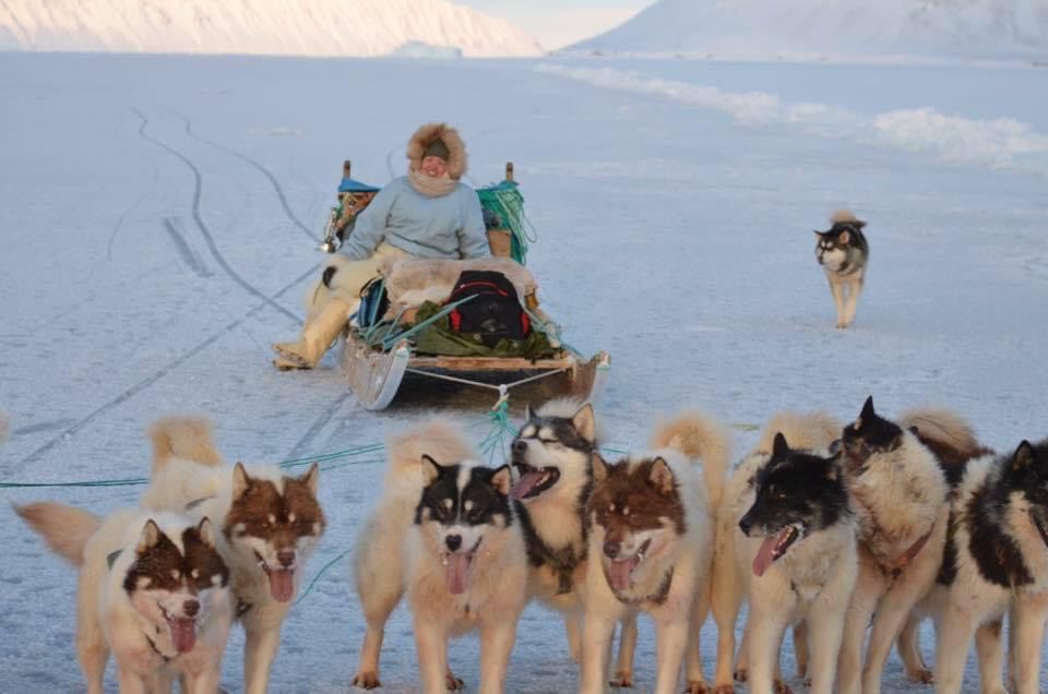 Doris J. Jensen på hundeslæde