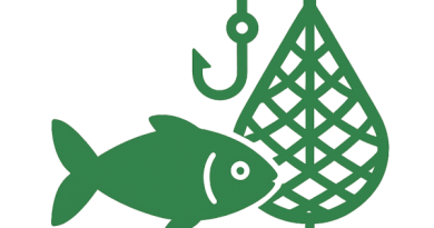 Fiskeri